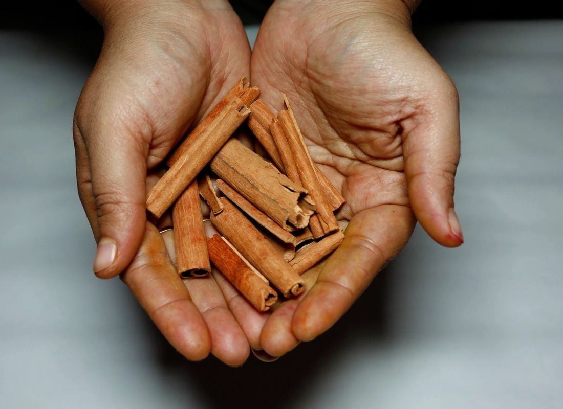 prikaz osobe koja drži u obe ruke cimet stapiće