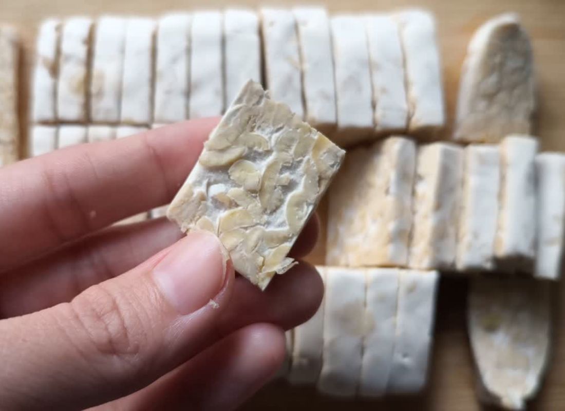 osoba drži tempah u ruci