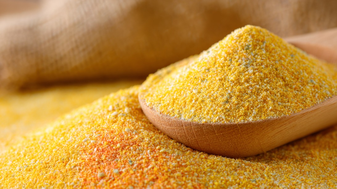 Close up of yellow cornmeal in a wooden scoop resting on a larger pile of cornmeal