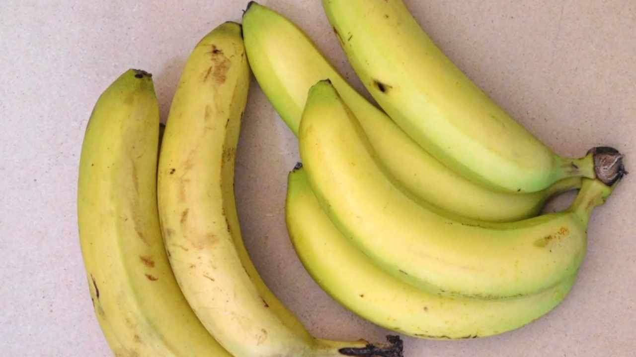 Više banana različite zrelosti poređano na svetloj podlozi