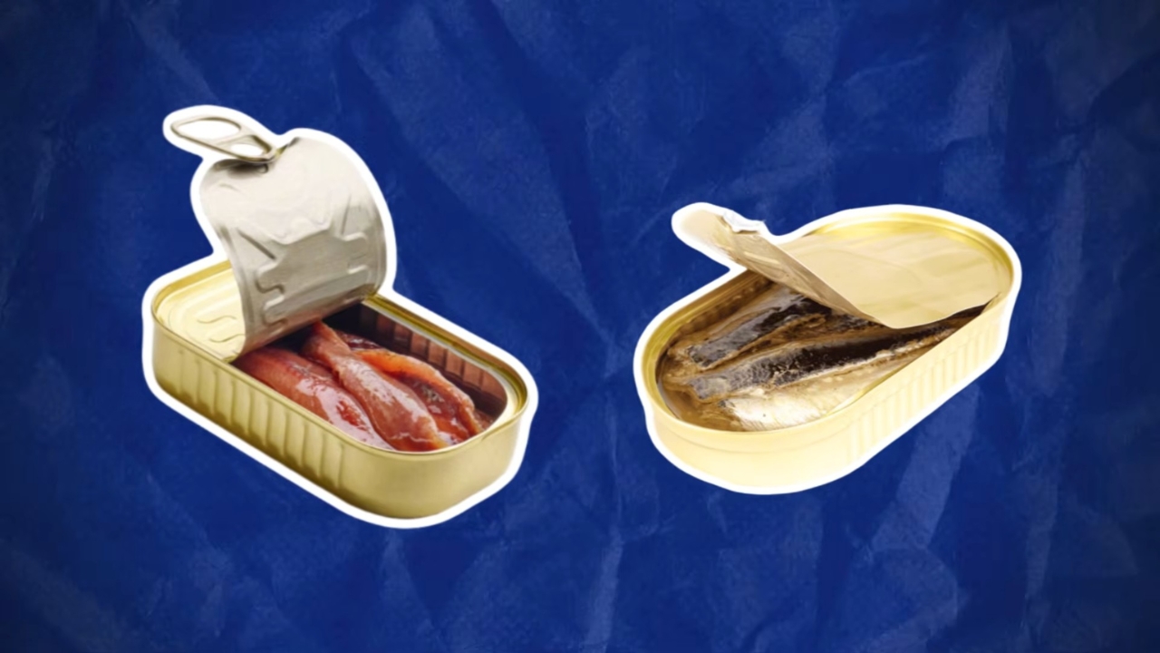 Open tins of anchovies and sardines shown side by side.