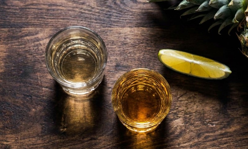 Mezcal vs Tequila: Same Plant, Different Soul