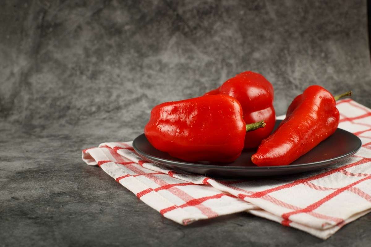 prikaz paprika na crnom tanjiru i crveno beloj krpi